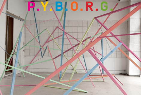 Pyborg_Poster_screen